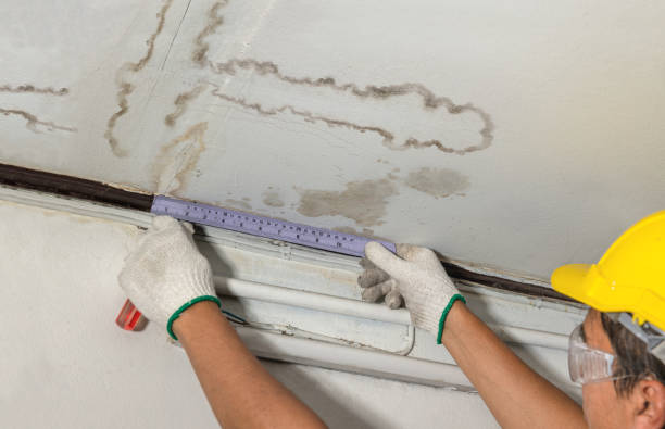 Reliable Basement Water Removal contractor in New Bedford, MA by Water Damage Irwin